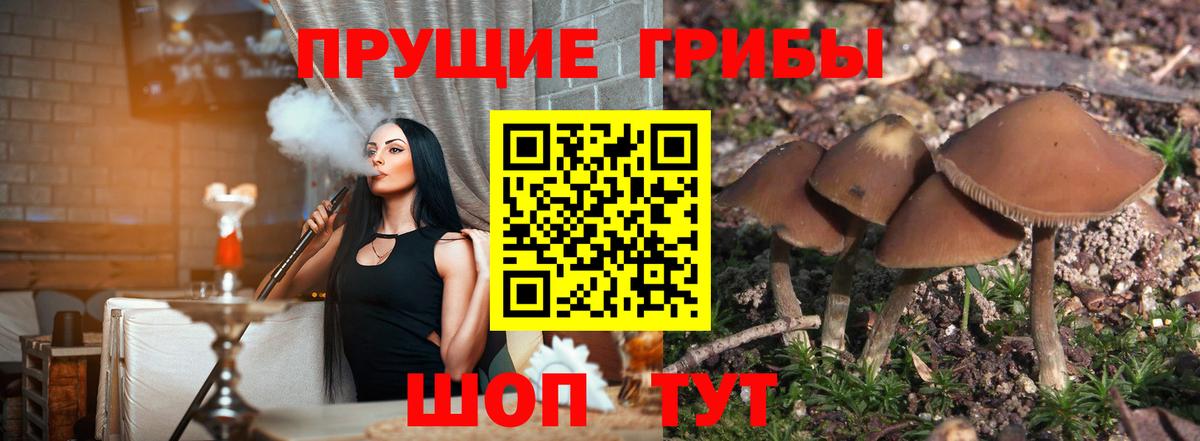 Псилоцибиновые грибы Magic Shrooms  Вход с VPN  Реж  Галлюциногенные грибы Psilocybe 